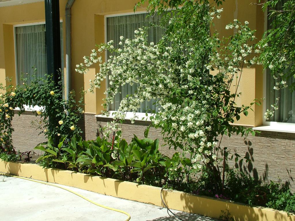Hotel Rio Piscina Priego de Córdoba Kültér fotó